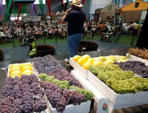 Festa da Uva de Jundiaí, uma tradição que une gerações desde 1934