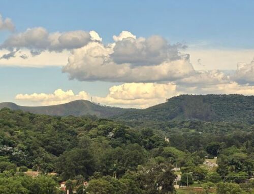 Villaggio Engordadouro, Vitale Fernandes e Vistta Castanho: bem-estar e conexão com a natureza